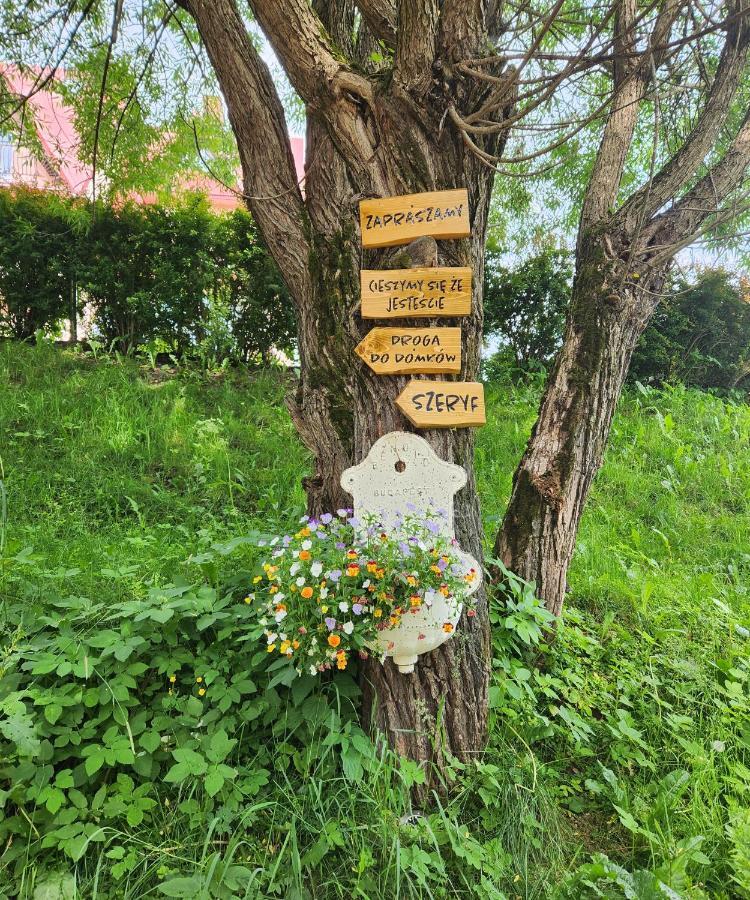 Goralska Chatka 2 Highland Cottage - Split Ac, Jacuzzi, Sauna, Private Parking, Mountains View, Garden, זקופאנה מראה חיצוני תמונה