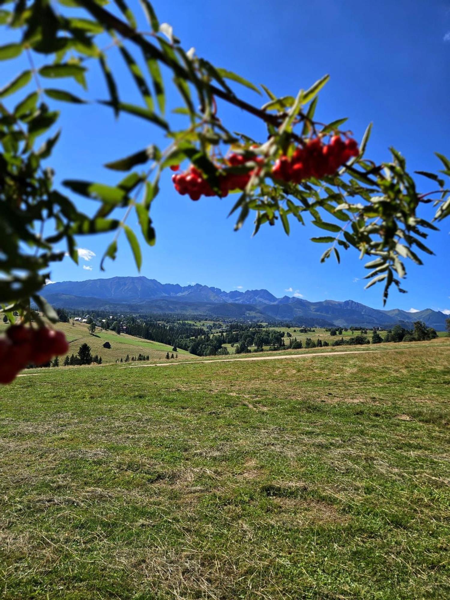 Goralska Chatka 2 Highland Cottage - Split Ac, Jacuzzi, Sauna, Private Parking, Mountains View, Garden, זקופאנה מראה חיצוני תמונה